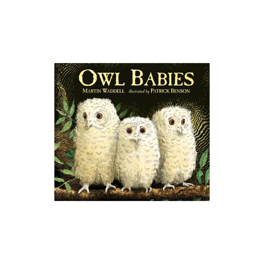 Owl Babies (en anglais)