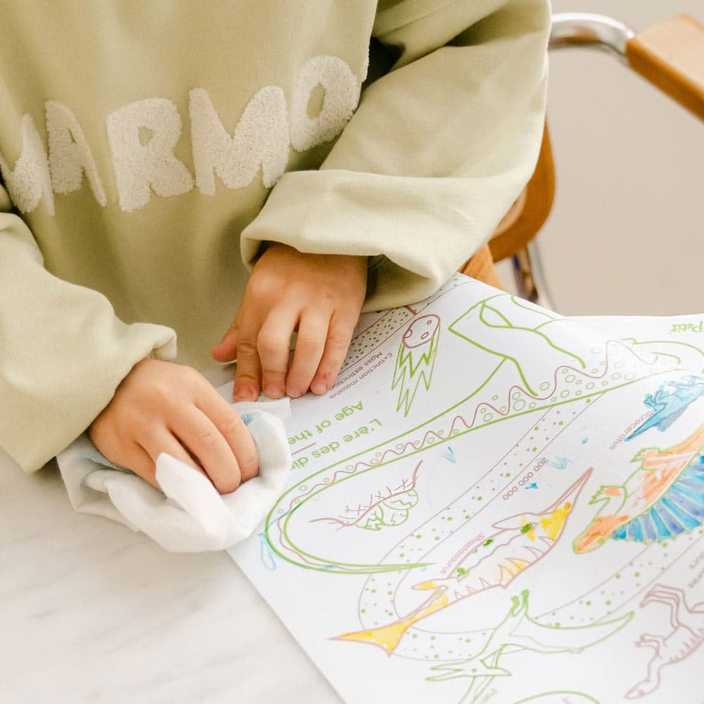 SUPER PETIT Set éducatif à colorier en silicone - L'ère des dinosaures - Bilingue FR/EN